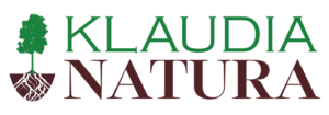 Allegro Ads AdsUP Allegro Ads KlaudiaNautra_pl